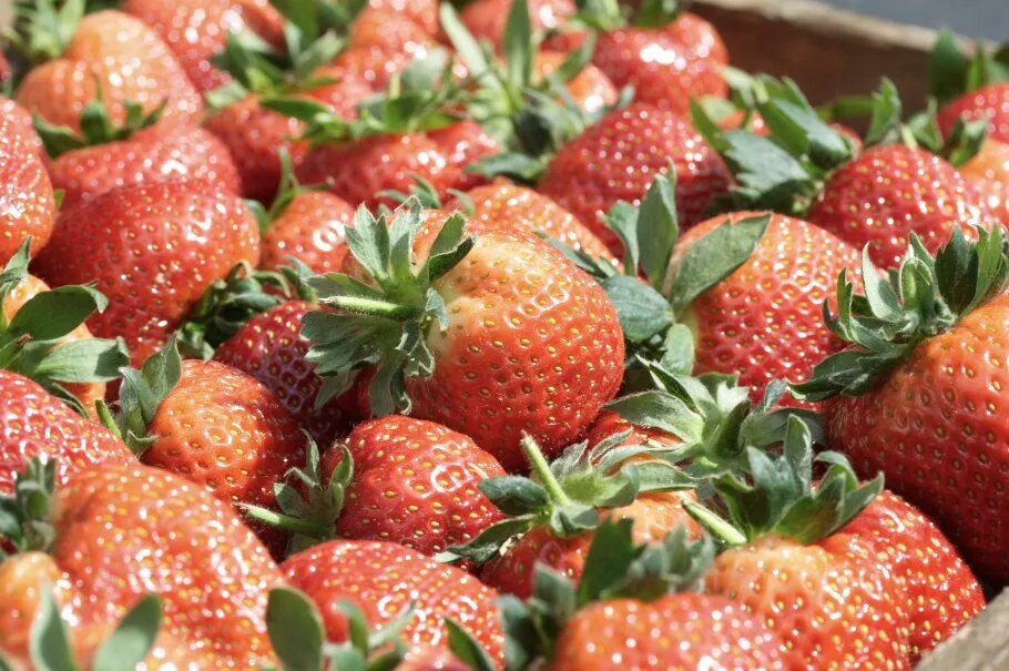 strawberry